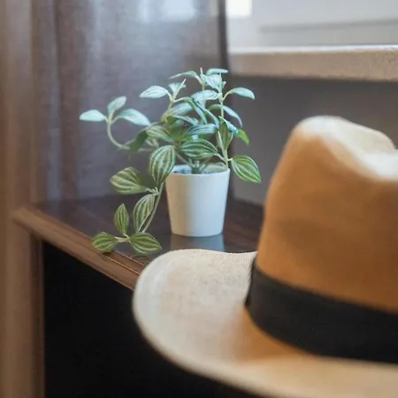 Namuri Comfortable Couette-café *