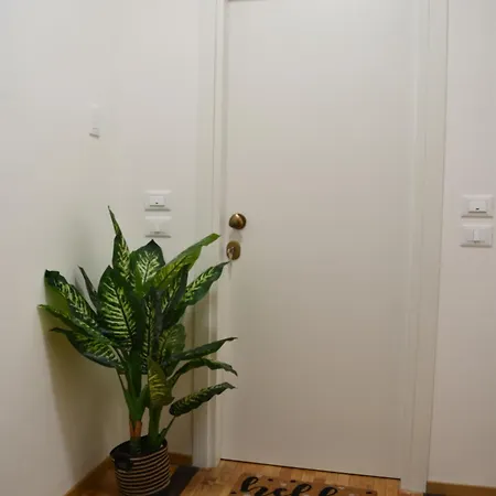 Namuri Comfortable